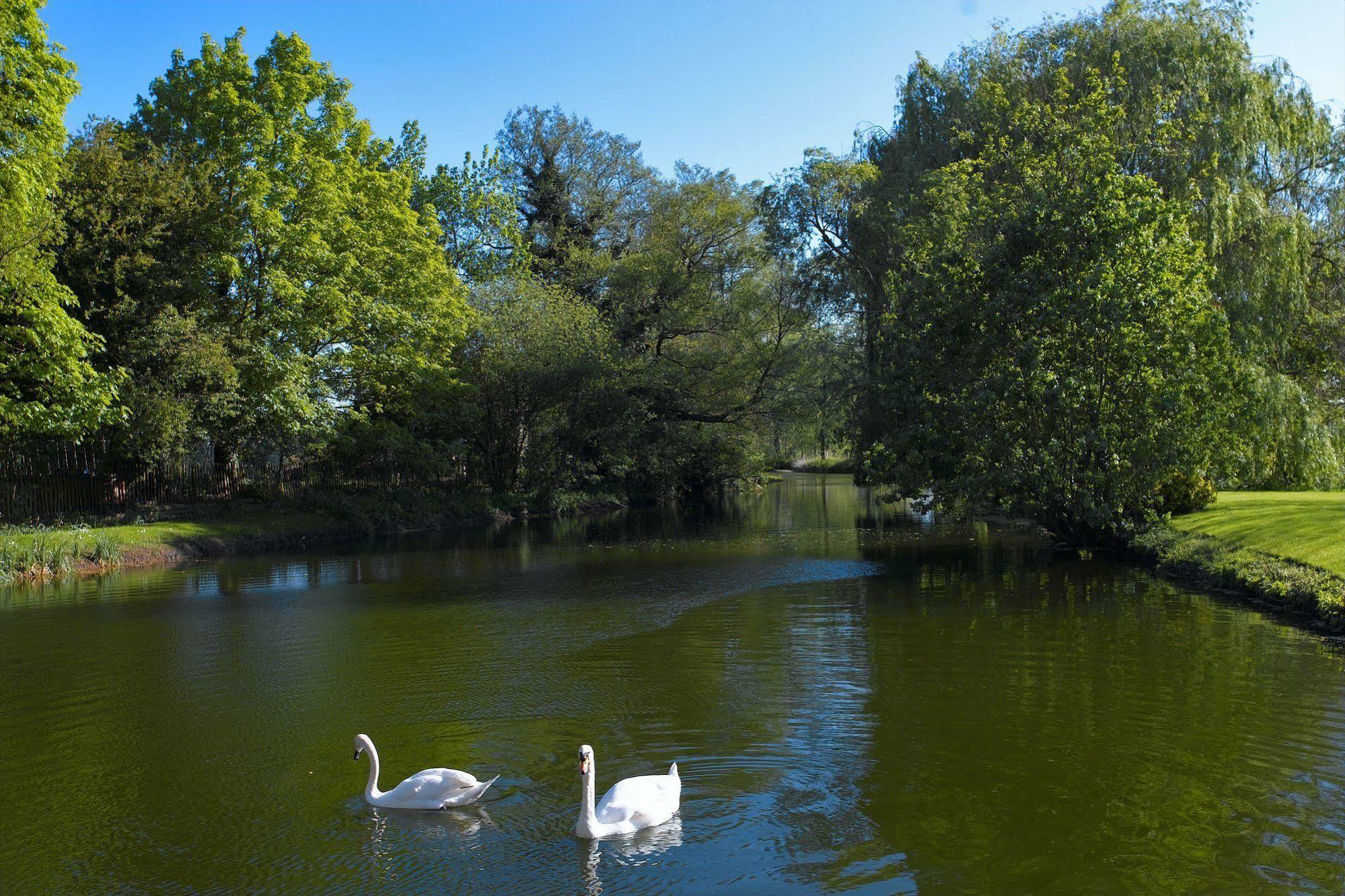 Tuddenham Mill Luxury Hotel Экстерьер фото The lake at the centre of the park